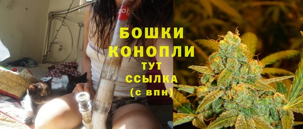 2c-b Осинники
