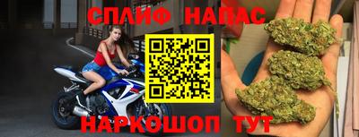 гидра Краснознаменск