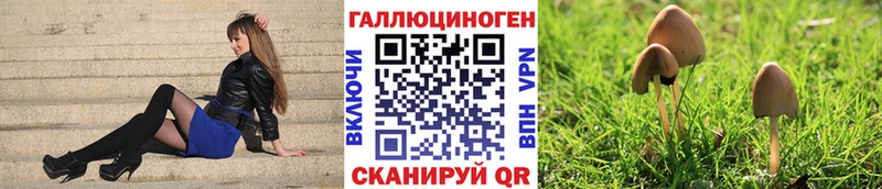 где купить   Усть-Илимск  Галлюциногенные грибы мухоморы 