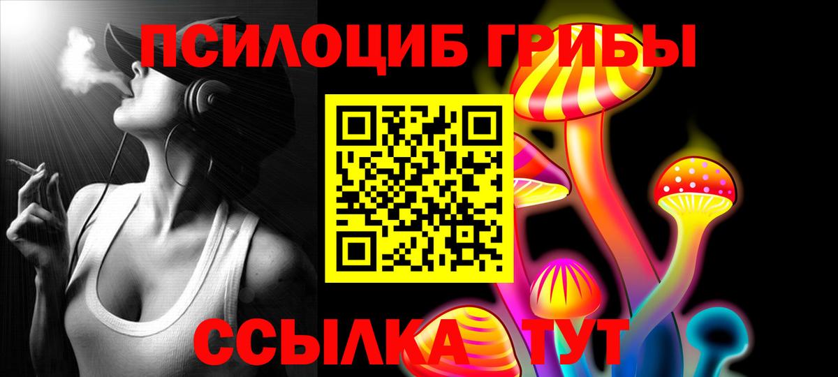 Псилоцибиновые грибы Cubensis  Вход с VPN  Усть-Илимск 